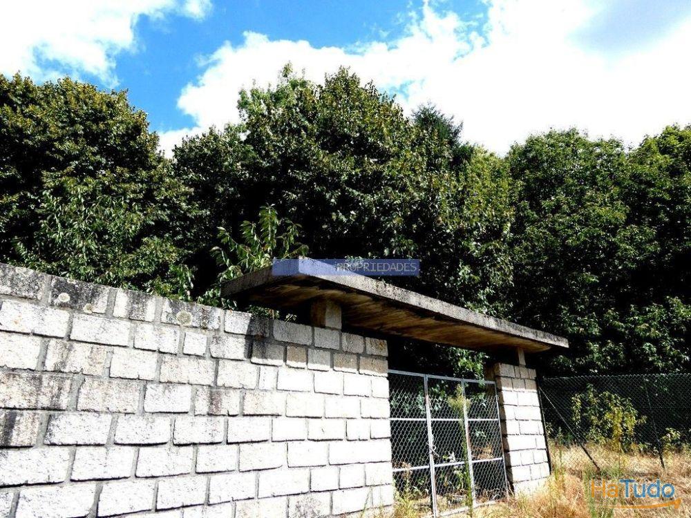 34.000m2 de terreno (Quinta) e 2 Ruínas a 8 minutos do Rio Douro. Portugal, Baião. 34.000m2 de terreno (Quinta) e 2 Ruínas a 8 minutos do Rio Douro. Portugal, Baião.