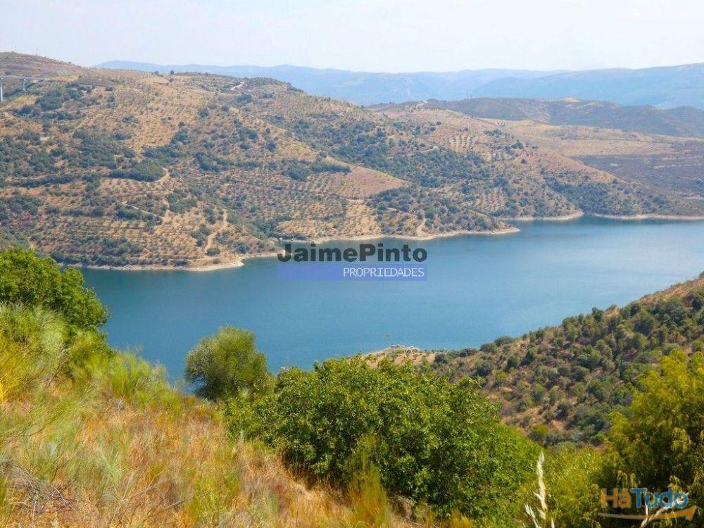 17.500m2 TERRENO rústico, em patamares, Vista Lago Sabor. Portugal, Alfândega da Fé. 17.500m2 TERRENO rústico, em patamares, Vista Lago Sabor. Portugal, Alfândega da Fé.
