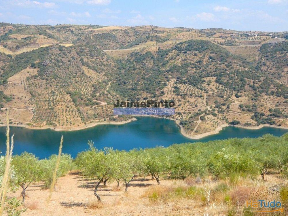 17.500m2 TERRENO rústico, em patamares, Vista Lago Sabor. Portugal, Alfândega da Fé. 17.500m2 TERRENO rústico, em patamares, Vista Lago Sabor. Portugal, Alfândega da Fé.