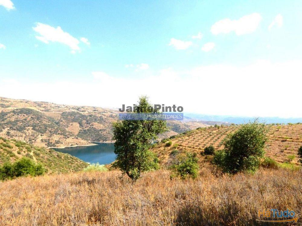 17.500m2 TERRENO rústico, em patamares, Vista Lago Sabor. Portugal, Alfândega da Fé. 17.500m2 TERRENO rústico, em patamares, Vista Lago Sabor. Portugal, Alfândega da Fé.