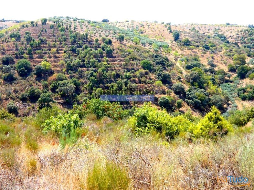 17.500m2 TERRENO rústico, em patamares, Vista Lago Sabor. Portugal, Alfândega da Fé. 17.500m2 TERRENO rústico, em patamares, Vista Lago Sabor. Portugal, Alfândega da Fé.