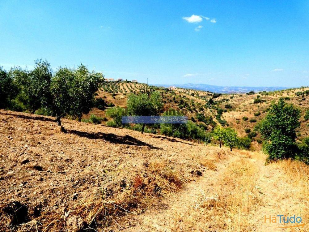 17.500m2 TERRENO rústico, em patamares, Vista Lago Sabor. Portugal, Alfândega da Fé. 17.500m2 TERRENO rústico, em patamares, Vista Lago Sabor. Portugal, Alfândega da Fé.