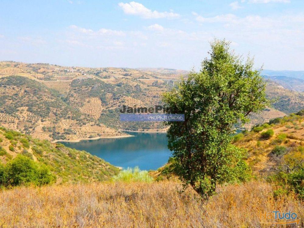 17.500m2 TERRENO rústico, em patamares, Vista Lago Sabor. Portugal, Alfândega da Fé. 17.500m2 TERRENO rústico, em patamares, Vista Lago Sabor. Portugal, Alfândega da Fé.