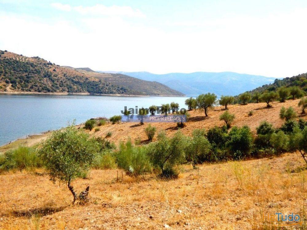 17.500m2 TERRENO rústico, em patamares, Vista Lago Sabor. Portugal, Alfândega da Fé. 17.500m2 TERRENO rústico, em patamares, Vista Lago Sabor. Portugal, Alfândega da Fé.