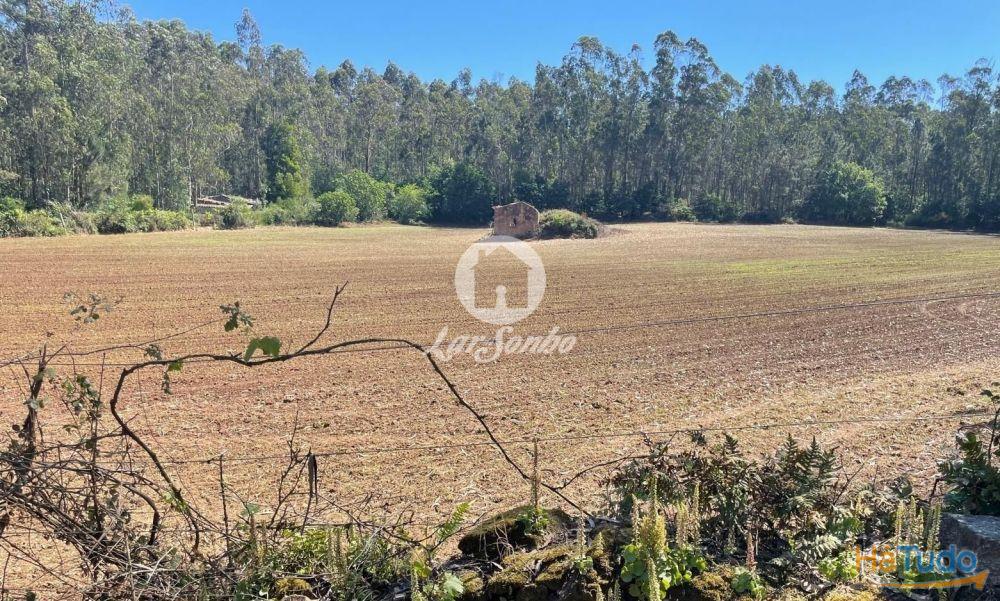 Terreno agrícola com 45.000m2 e 100m frente em Balazar, Póvoa de varzim Terreno agrícola com 45.000m2 e 100m frente em Balazar, Póvoa de varzim