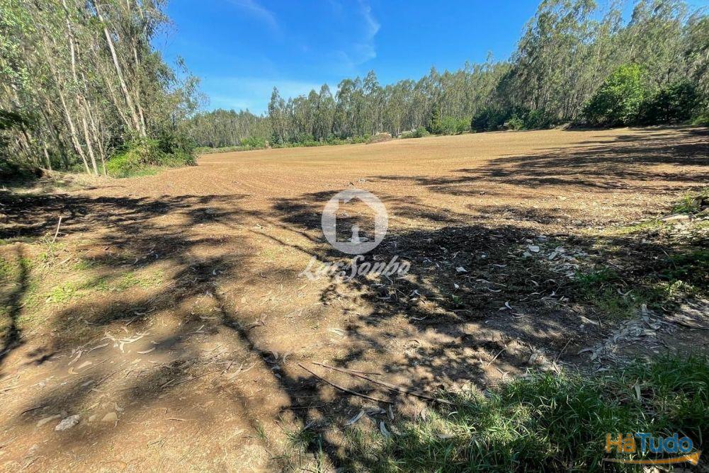 Terreno agrícola com 45.000m2 e 100m frente em Balazar, Póvoa de varzim Terreno agrícola com 45.000m2 e 100m frente em Balazar, Póvoa de varzim