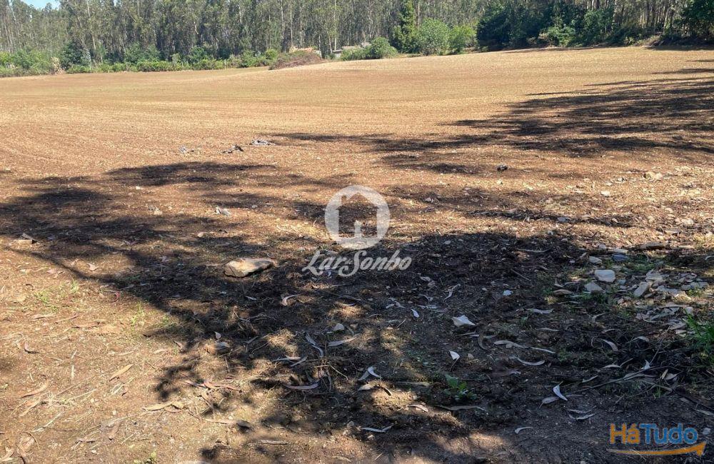 Terreno agrícola com 45.000m2 e 100m frente em Balazar, Póvoa de varzim Terreno agrícola com 45.000m2 e 100m frente em Balazar, Póvoa de varzim
