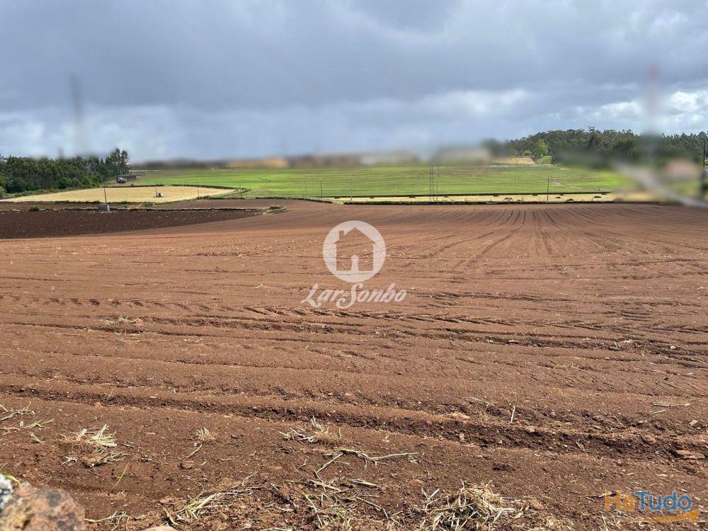 Terreno rústico de 24.476m2 com 100m frente em Balazar, Póvoa de Varzim Terreno rústico de 24.476m2 com 100m frente em Balazar, Póvoa de Varzim