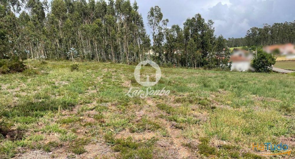 Terreno rústico de 24.476m2 com 100m frente em Balazar, Póvoa de Varzim Terreno rústico de 24.476m2 com 100m frente em Balazar, Póvoa de Varzim