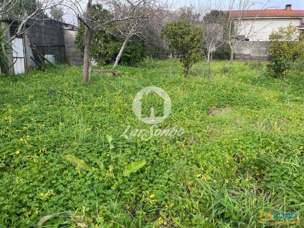 Terreno com 30m frente, para construção de Moradia com 1000m² em Covelas, Trofa Terreno com 30m frente, para construção de Moradia com 1000m² em Covelas, Trofa