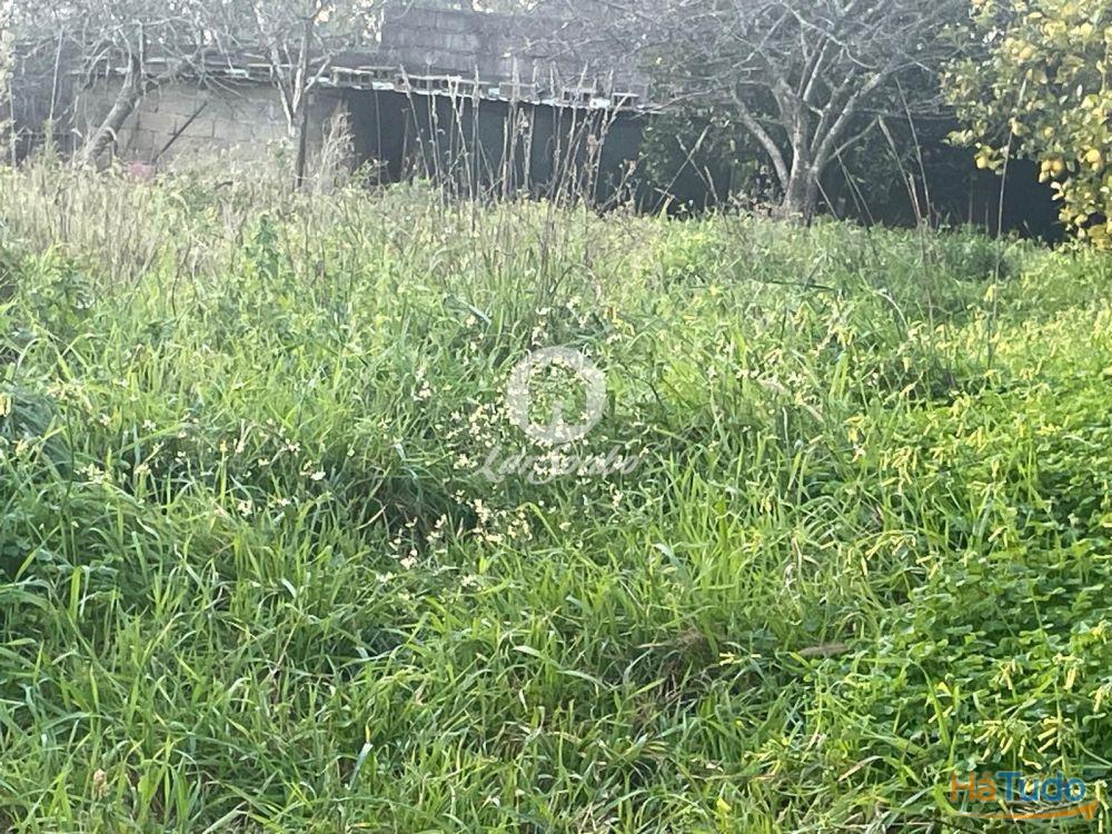 Terreno com 30m frente, para construção de Moradia com 1000m² em Covelas, Trofa Terreno com 30m frente, para construção de Moradia com 1000m² em Covelas, Trofa