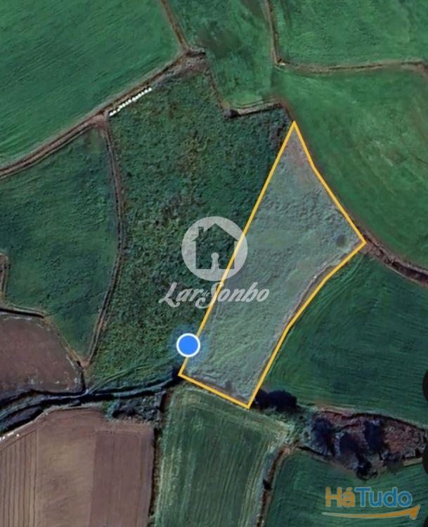 Terreno Agrícola Terroso | 2.722m² Terreno Agrícola Terroso | 2.722m²