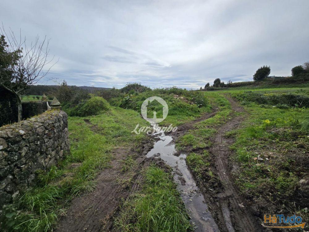 Terreno Agrícola Terroso | 2.722m² Terreno Agrícola Terroso | 2.722m²