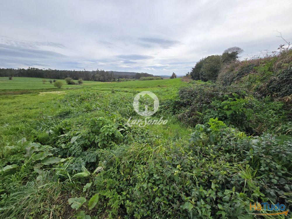 Terreno Agrícola Terroso | 2.722m² Terreno Agrícola Terroso | 2.722m²