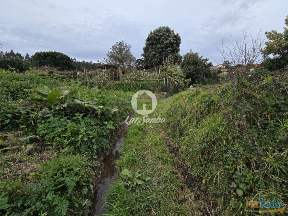 Terreno Agrícola Terroso | 2.722m² Terreno Agrícola Terroso | 2.722m²