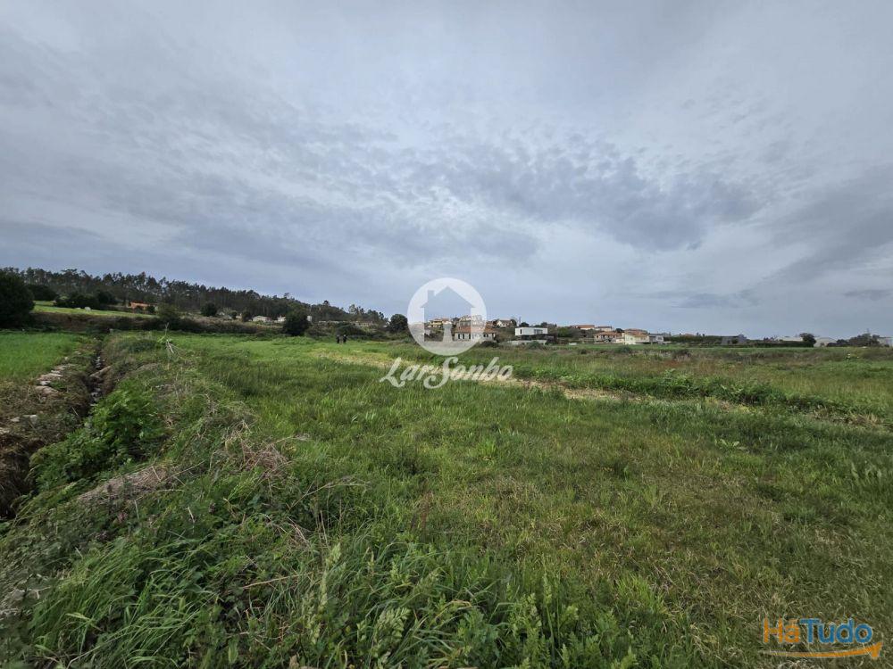 Terreno Agrícola Terroso | 2.722m² Terreno Agrícola Terroso | 2.722m²