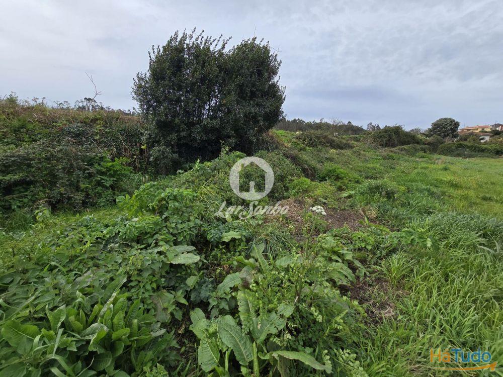 Terreno Agrícola Terroso | 2.722m² Terreno Agrícola Terroso | 2.722m²