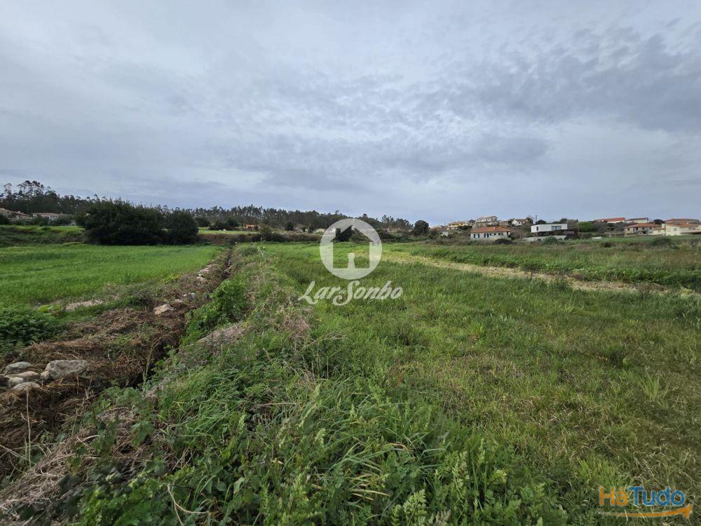 Terreno Agrícola Terroso | 2.722m² Terreno Agrícola Terroso | 2.722m²