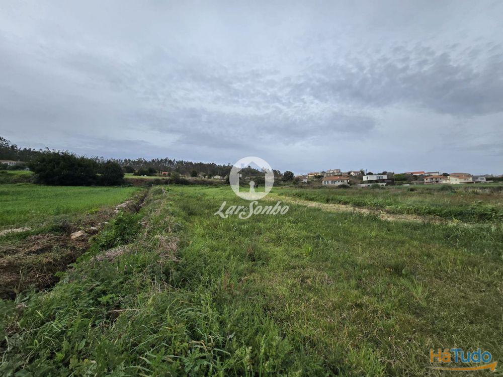 Terreno Agrícola Terroso | 2.722m² Terreno Agrícola Terroso | 2.722m²