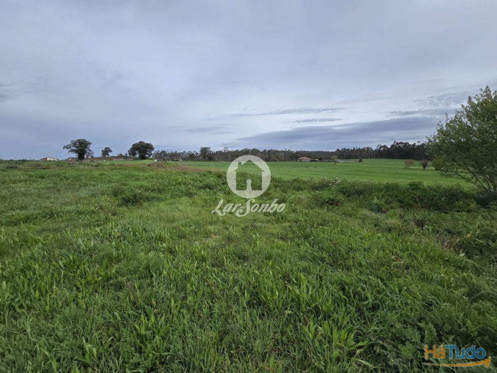 Terreno Agrícola Terroso | 2.722m² Terreno Agrícola Terroso | 2.722m²