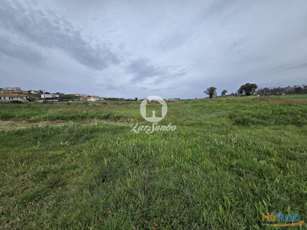 Terreno Agrícola Terroso | 2.722m² Terreno Agrícola Terroso | 2.722m²