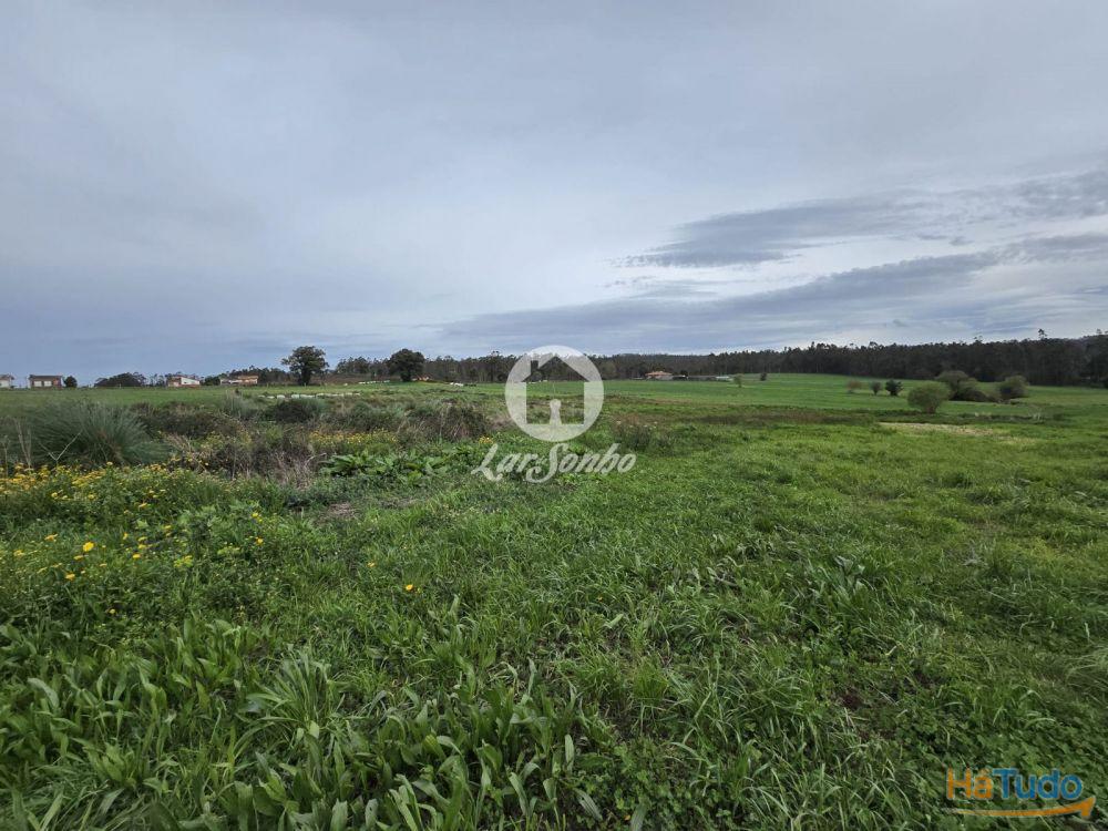 Terreno Agrícola Terroso | 2.722m² Terreno Agrícola Terroso | 2.722m²