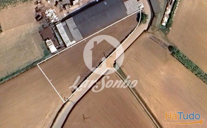 Lote de 1.490m2 para Moradia Térrea em Balazar, Póvoa de Varzim Lote de 1.490m2 para Moradia Térrea em Balazar, Póvoa de Varzim