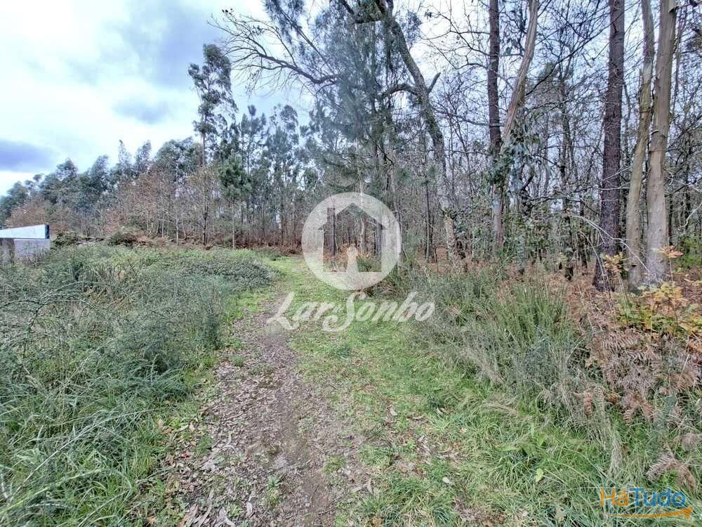 Terreno de 3.134m2 em Viatodos, Barcelos Terreno de 3.134m2 em Viatodos, Barcelos