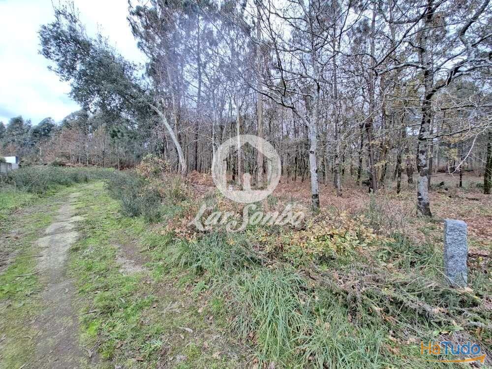 Terreno de 3.134m2 em Viatodos, Barcelos Terreno de 3.134m2 em Viatodos, Barcelos