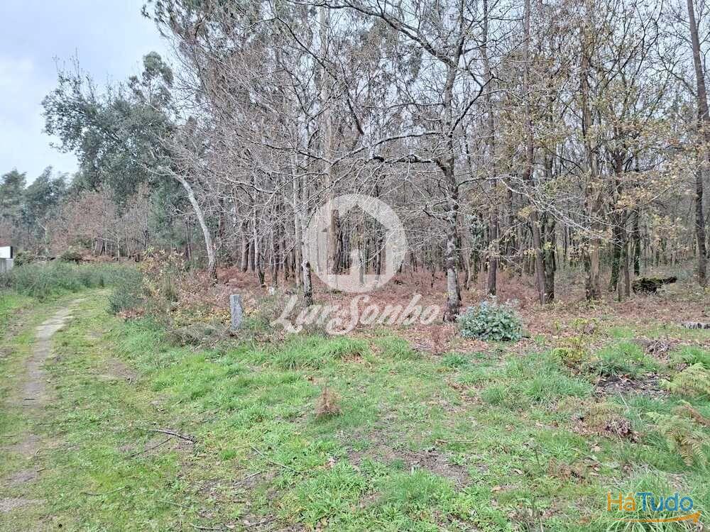 Terreno de 3.134m2 em Viatodos, Barcelos Terreno de 3.134m2 em Viatodos, Barcelos