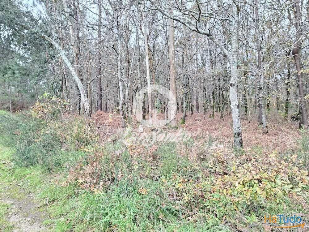 Terreno de 3.134m2 em Viatodos, Barcelos Terreno de 3.134m2 em Viatodos, Barcelos