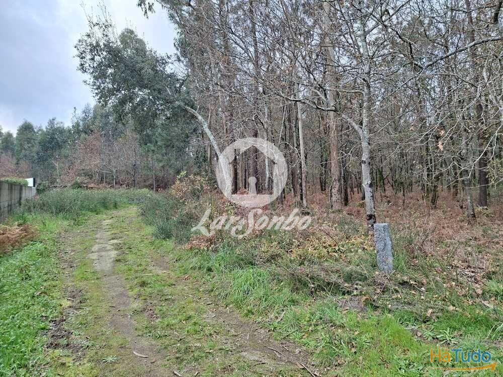 Terreno de 3.134m2 em Viatodos, Barcelos Terreno de 3.134m2 em Viatodos, Barcelos