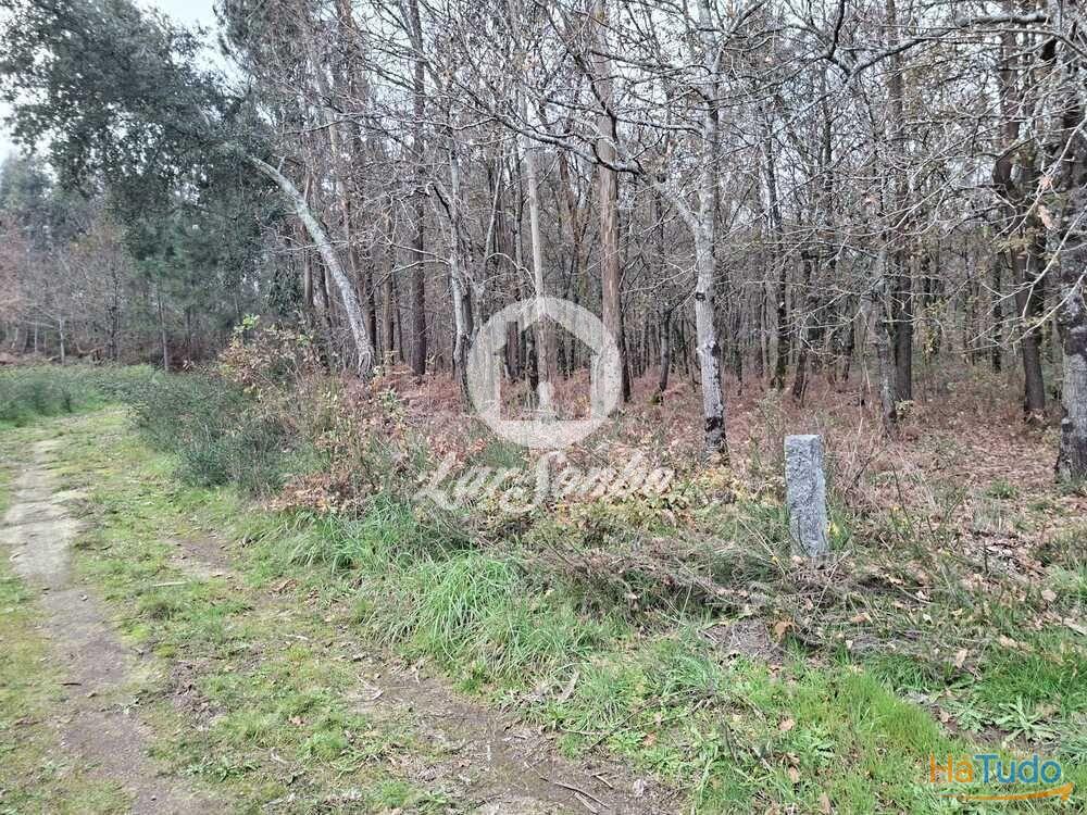 Terreno de 3.134m2 em Viatodos, Barcelos Terreno de 3.134m2 em Viatodos, Barcelos