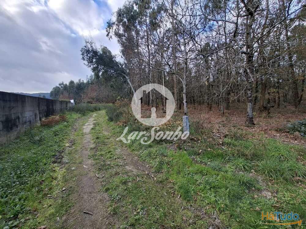 Terreno de 3.134m2 em Viatodos, Barcelos Terreno de 3.134m2 em Viatodos, Barcelos