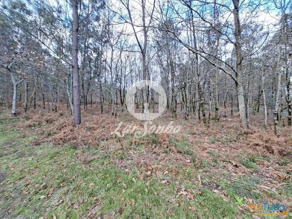 Terreno de 3.134m2 em Viatodos, Barcelos Terreno de 3.134m2 em Viatodos, Barcelos