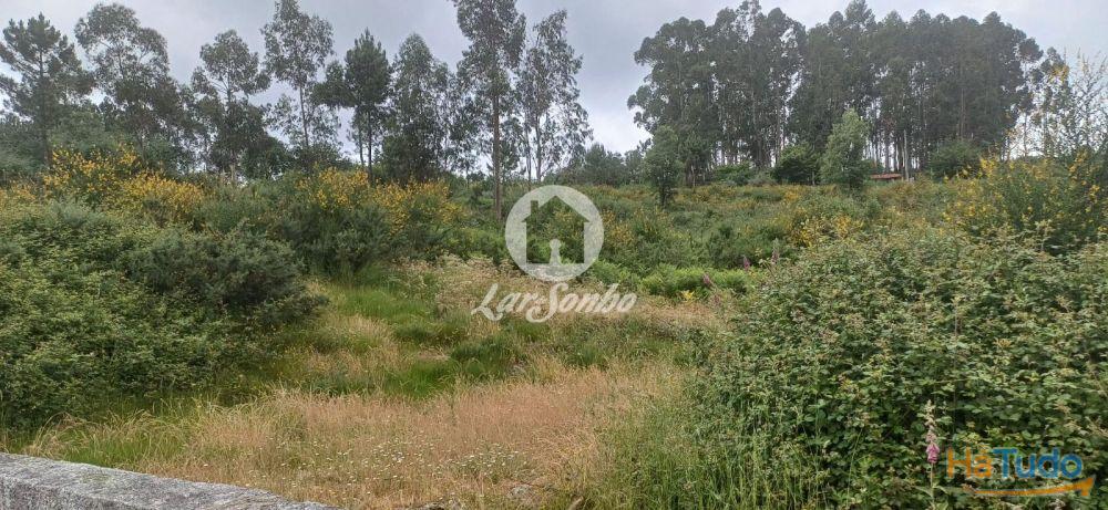 VENDE-SE TERRENO LAMOSO, PAÇOS DE FERREIRA VENDE-SE TERRENO LAMOSO, PAÇOS DE FERREIRA