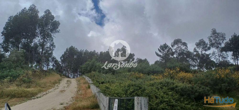 VENDE-SE TERRENO LAMOSO, PAÇOS DE FERREIRA VENDE-SE TERRENO LAMOSO, PAÇOS DE FERREIRA