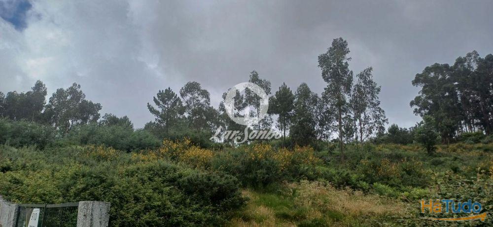 VENDE-SE TERRENO LAMOSO, PAÇOS DE FERREIRA VENDE-SE TERRENO LAMOSO, PAÇOS DE FERREIRA