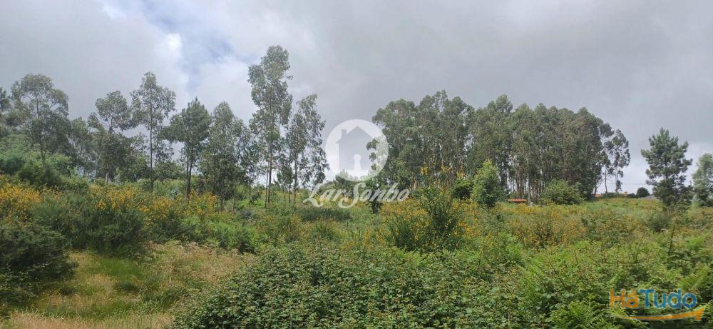 VENDE-SE TERRENO LAMOSO, PAÇOS DE FERREIRA VENDE-SE TERRENO LAMOSO, PAÇOS DE FERREIRA