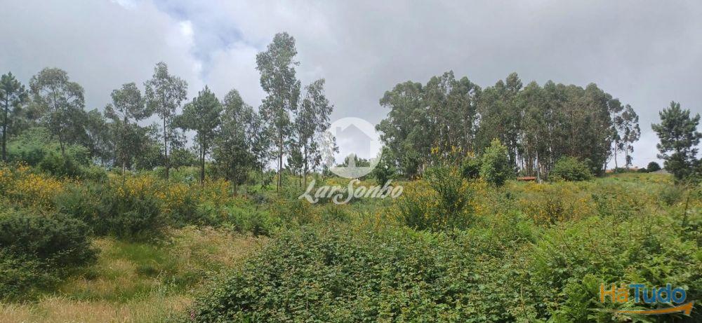 VENDE-SE TERRENO LAMOSO, PAÇOS DE FERREIRA VENDE-SE TERRENO LAMOSO, PAÇOS DE FERREIRA