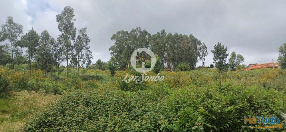 VENDE-SE TERRENO LAMOSO, PAÇOS DE FERREIRA VENDE-SE TERRENO LAMOSO, PAÇOS DE FERREIRA