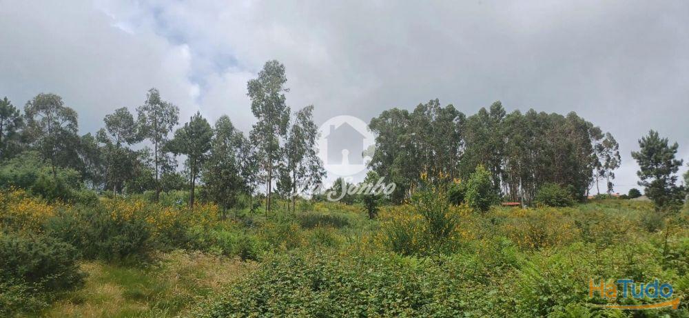 VENDE-SE TERRENO LAMOSO, PAÇOS DE FERREIRA VENDE-SE TERRENO LAMOSO, PAÇOS DE FERREIRA