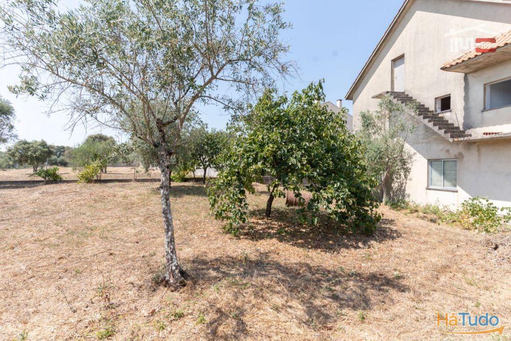 Prédio - Boa oportunidade de Investimento em Fátima Prédio - Boa oportunidade de Investimento em Fátima