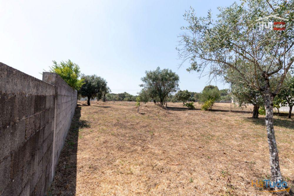 Prédio - Boa oportunidade de Investimento em Fátima Prédio - Boa oportunidade de Investimento em Fátima