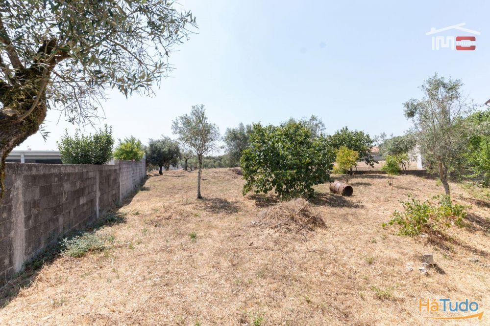 Prédio - Boa oportunidade de Investimento em Fátima Prédio - Boa oportunidade de Investimento em Fátima