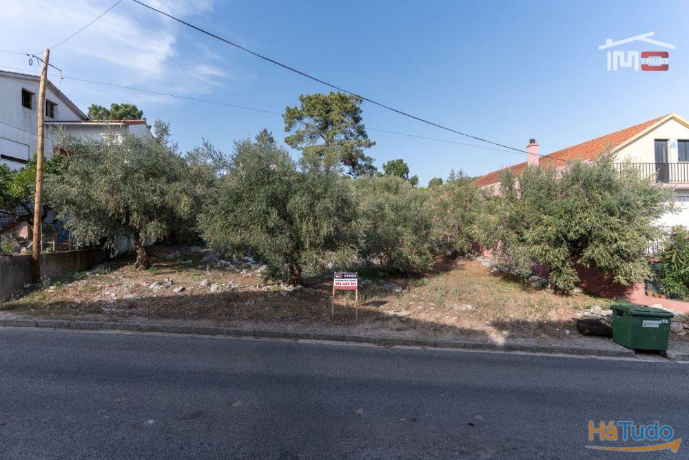 TERRENO URBANO COM AREA DE 1659 M2 PARA CONSTRUÇÃO EM MIRA DE AIRE PORTO DE MOS TERRENO URBANO COM AREA DE 1659 M2 PARA CONSTRUÇÃO EM MIRA DE AIRE PORTO DE MOS