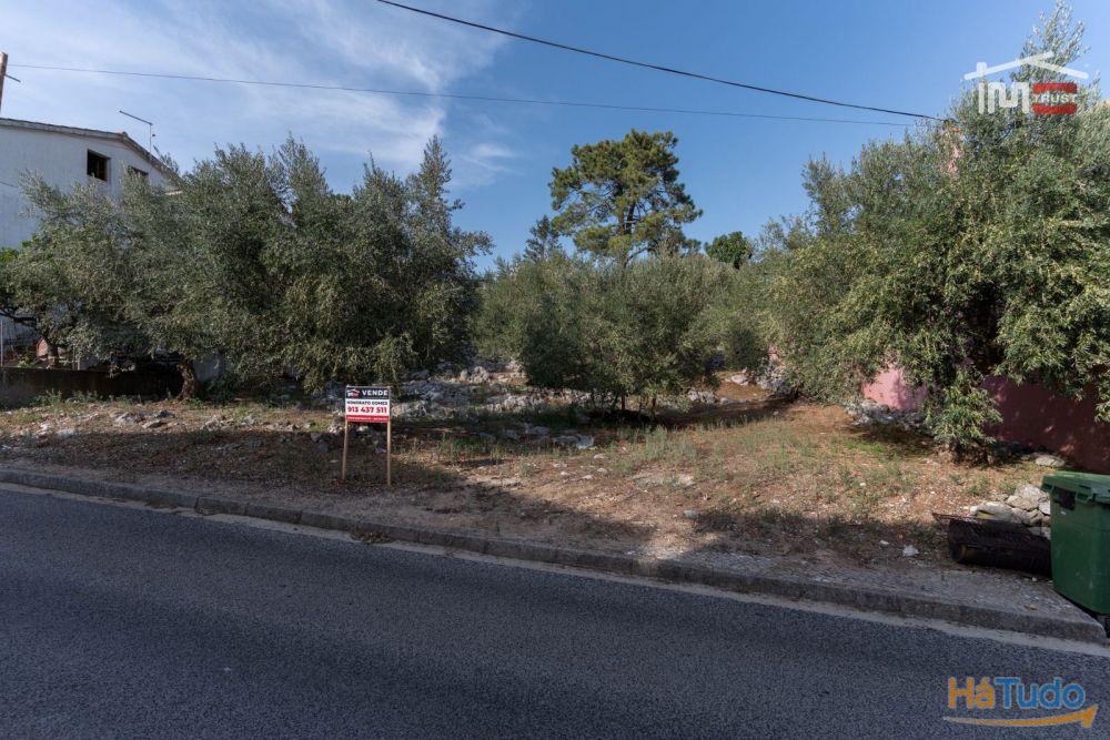 TERRENO URBANO COM AREA DE 1659 M2 PARA CONSTRUÇÃO EM MIRA DE AIRE PORTO DE MOS TERRENO URBANO COM AREA DE 1659 M2 PARA CONSTRUÇÃO EM MIRA DE AIRE PORTO DE MOS