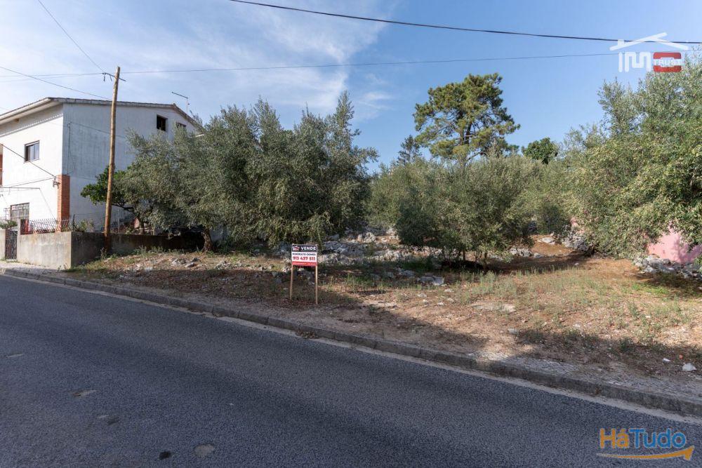 TERRENO URBANO COM AREA DE 1659 M2 PARA CONSTRUÇÃO EM MIRA DE AIRE PORTO DE MOS TERRENO URBANO COM AREA DE 1659 M2 PARA CONSTRUÇÃO EM MIRA DE AIRE PORTO DE MOS