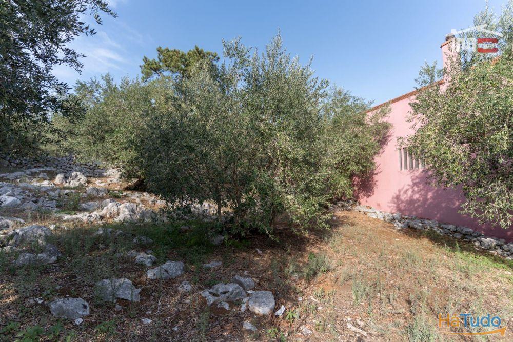 TERRENO URBANO COM AREA DE 1659 M2 PARA CONSTRUÇÃO EM MIRA DE AIRE PORTO DE MOS TERRENO URBANO COM AREA DE 1659 M2 PARA CONSTRUÇÃO EM MIRA DE AIRE PORTO DE MOS