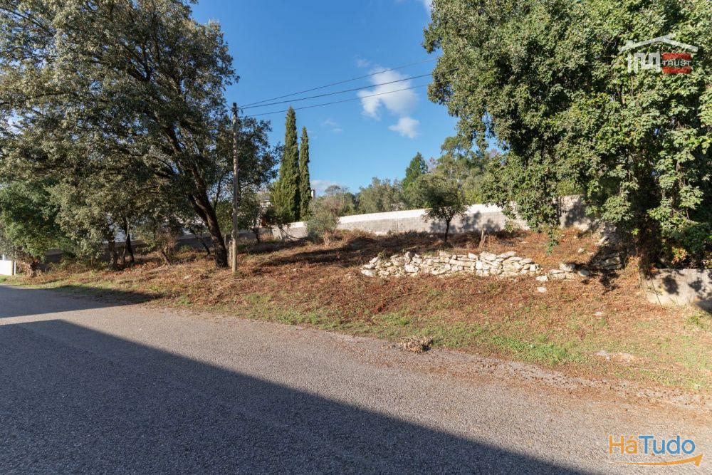 Fantástico Terreno Urbano próximo das Grutas de Mira de Aire Fantástico Terreno Urbano próximo das Grutas de Mira de Aire